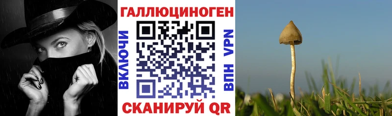 гидра ссылки  Геленджик  Псилоцибиновые грибы ЛСД 